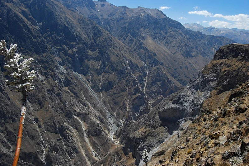 cañon del colca