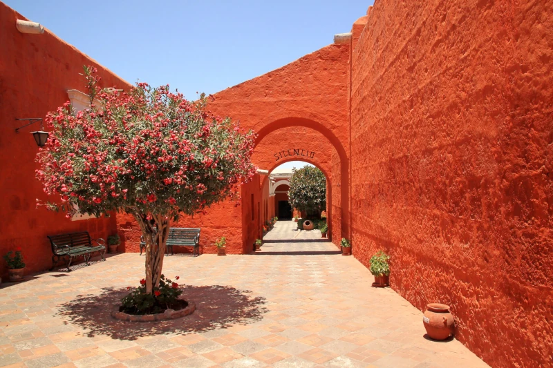 santa catalina