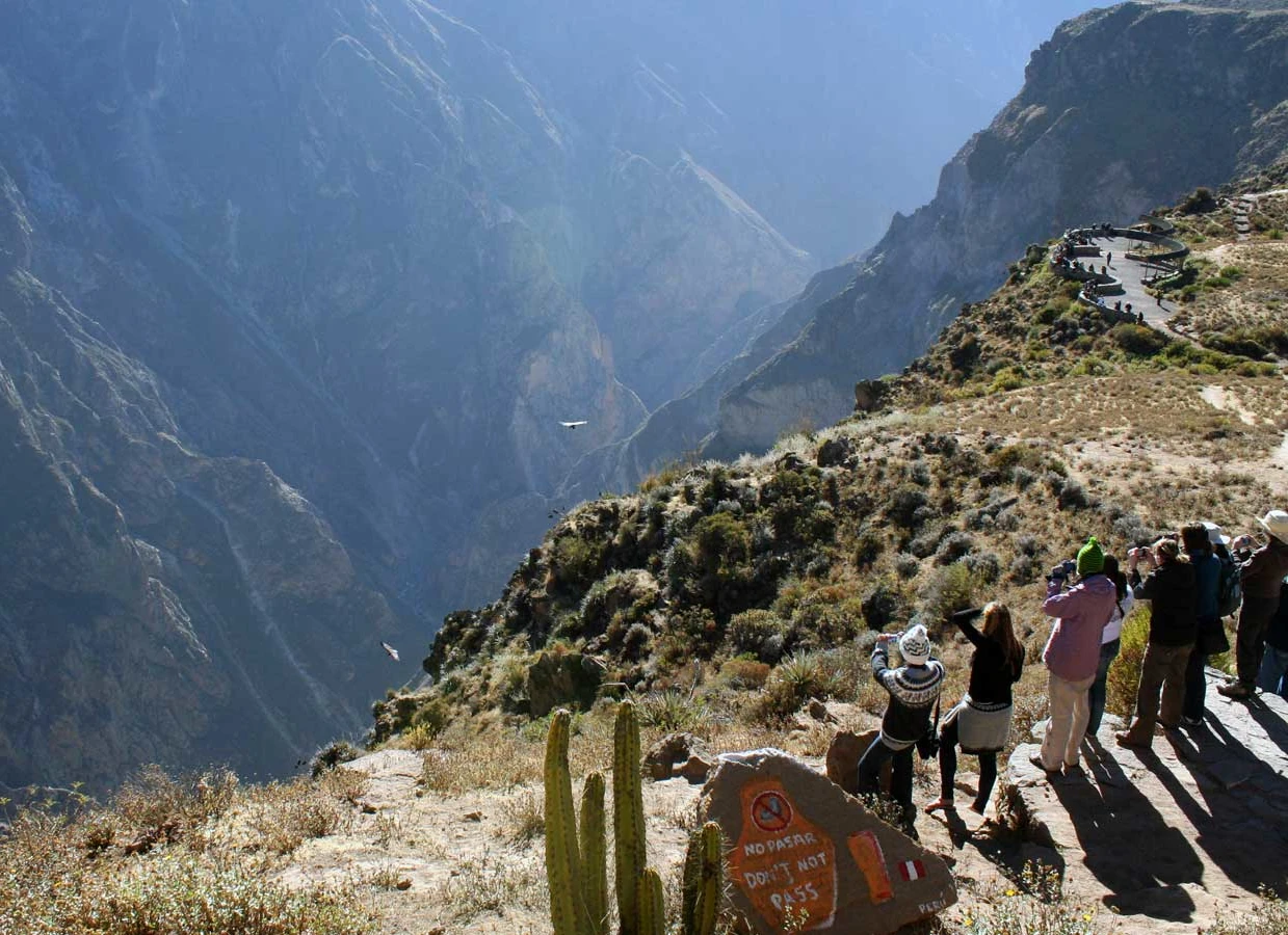 Tour Full Day Colca