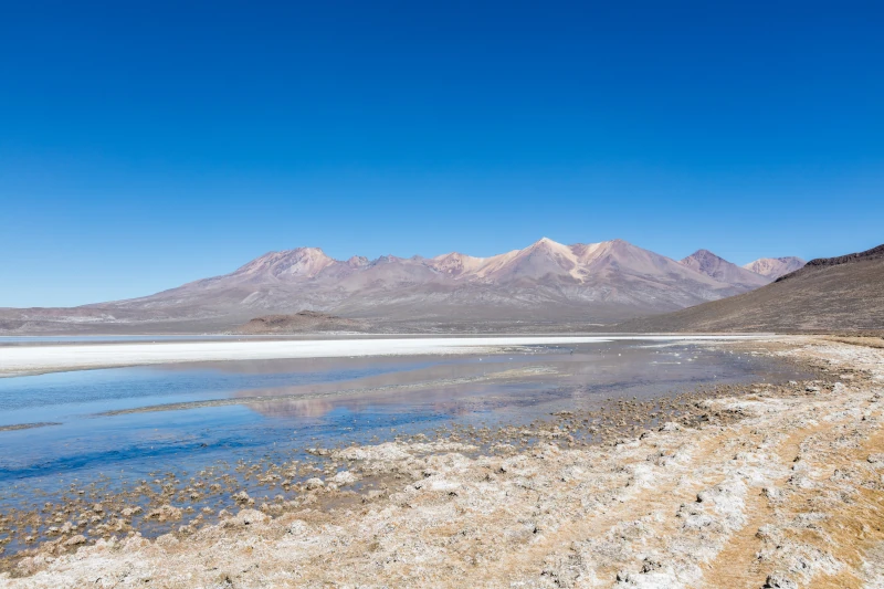 salinas arequipa