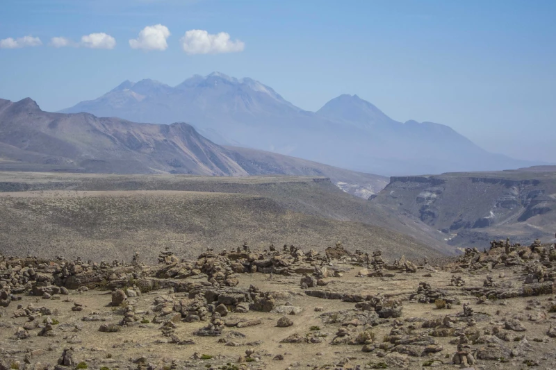 salinas arequipa