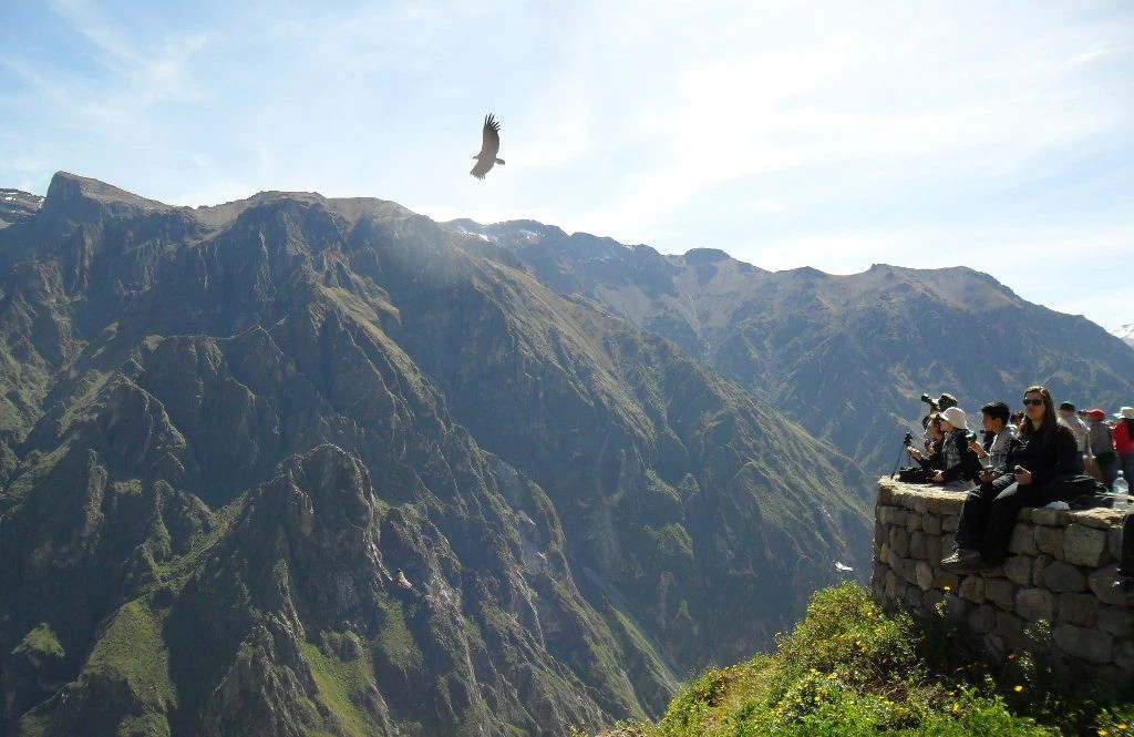 Tour Full Day Colca