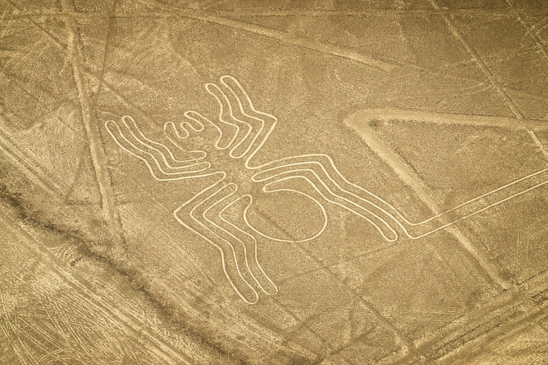 Quien Descubrió Las Líneas De Nazca