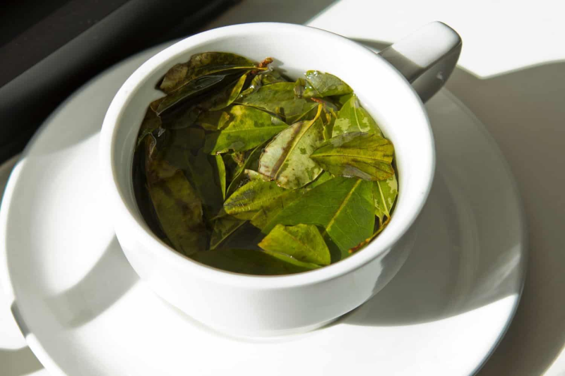 Mate de coca