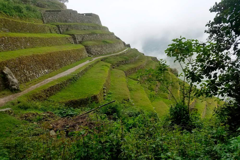 Wiñayhuayna