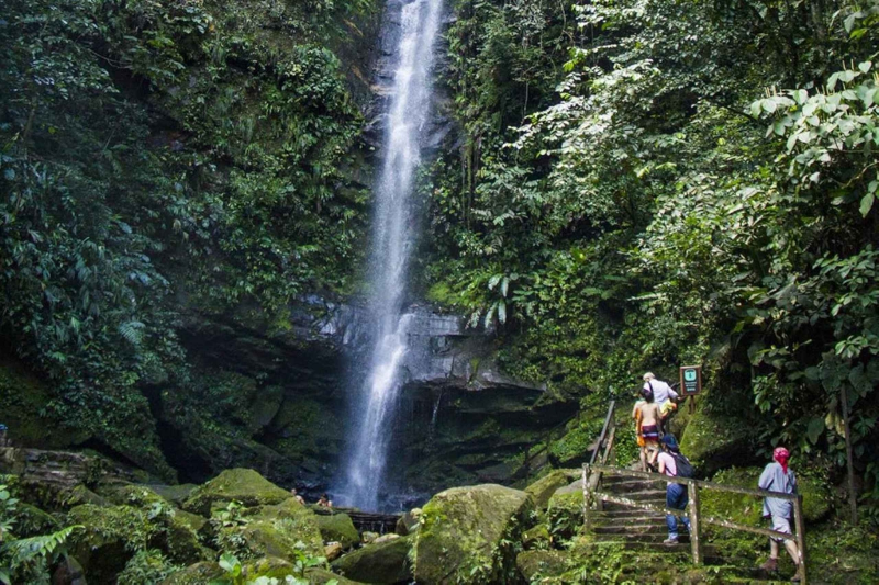 Tours en Tarapoto